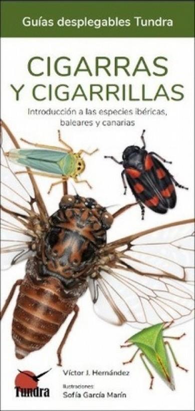 CIGARRAS Y CIGARRILLAS - GUIAS DESPLEGABLES TUNDRA | 9788418458637 | HERNANDEZ, VICTOR J.