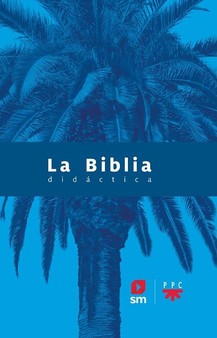 BIBLIA DIDÁCTICA, LA (ED. 2020) | 9788413183039 | VARIOS AUTORES,