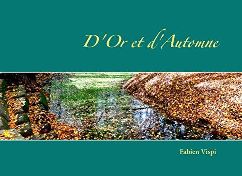 D'OR ET D'AUTOMNE | 9782322190133 | VISPI, FABIEN