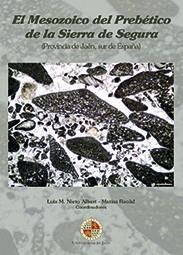 MESOZOICO DEL PREBÉTICO DE LA SIERRA DE SEGURA (PROVINCIA DE JAÉN, SUR DE ESPAÑA), EL | 9788484399216 | VARIOS AUTORES