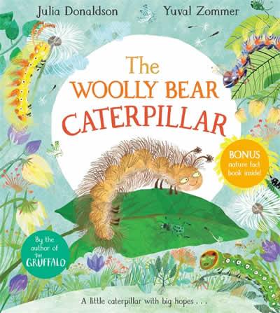 WOOLLY BEAR CATERPILLAR, THE | 9781529012200 | DONALDSON, JULIA