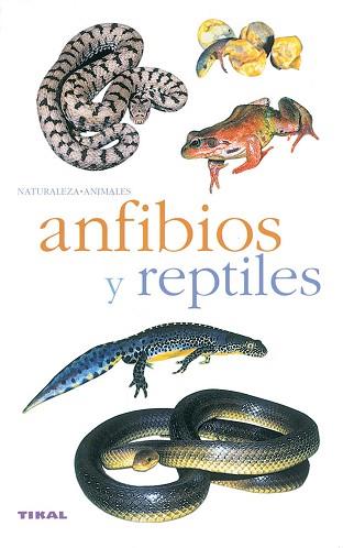 ANFIBIOS Y REPTILES | 9788430553341 | SANTIANI, MARC