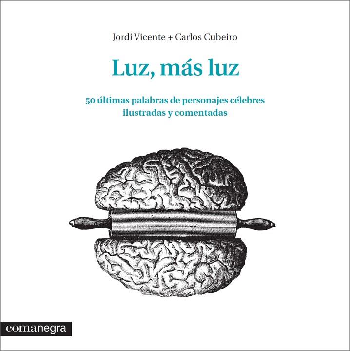 LUZ MÁS LUZ | 9788416033348 | VICENTE, JORDI