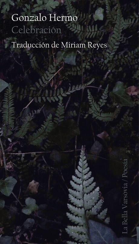 CELEBRACIÓN | 9788494654428 | HERMO, GONZALO