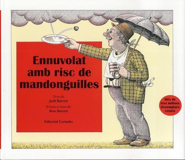 ENNUVOLAT AMB POSIBILITATS DE MANDONGUILLES | 9788484704485 | BARRET