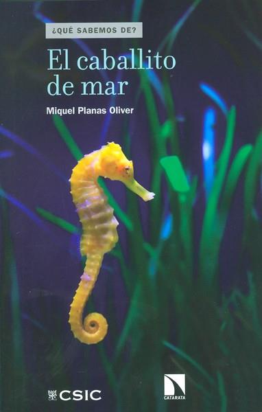 EL CABALLITO DE MAR | 9788400098155 | PLANAS OLIVER, MIQUEL