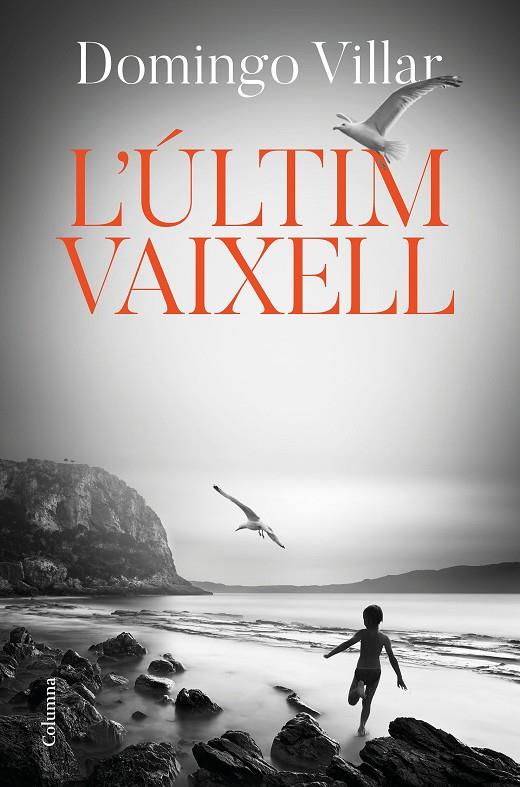 ÚLTIM VAIXELL, L' | 9788466425490 | VILLAR, DOMINGO