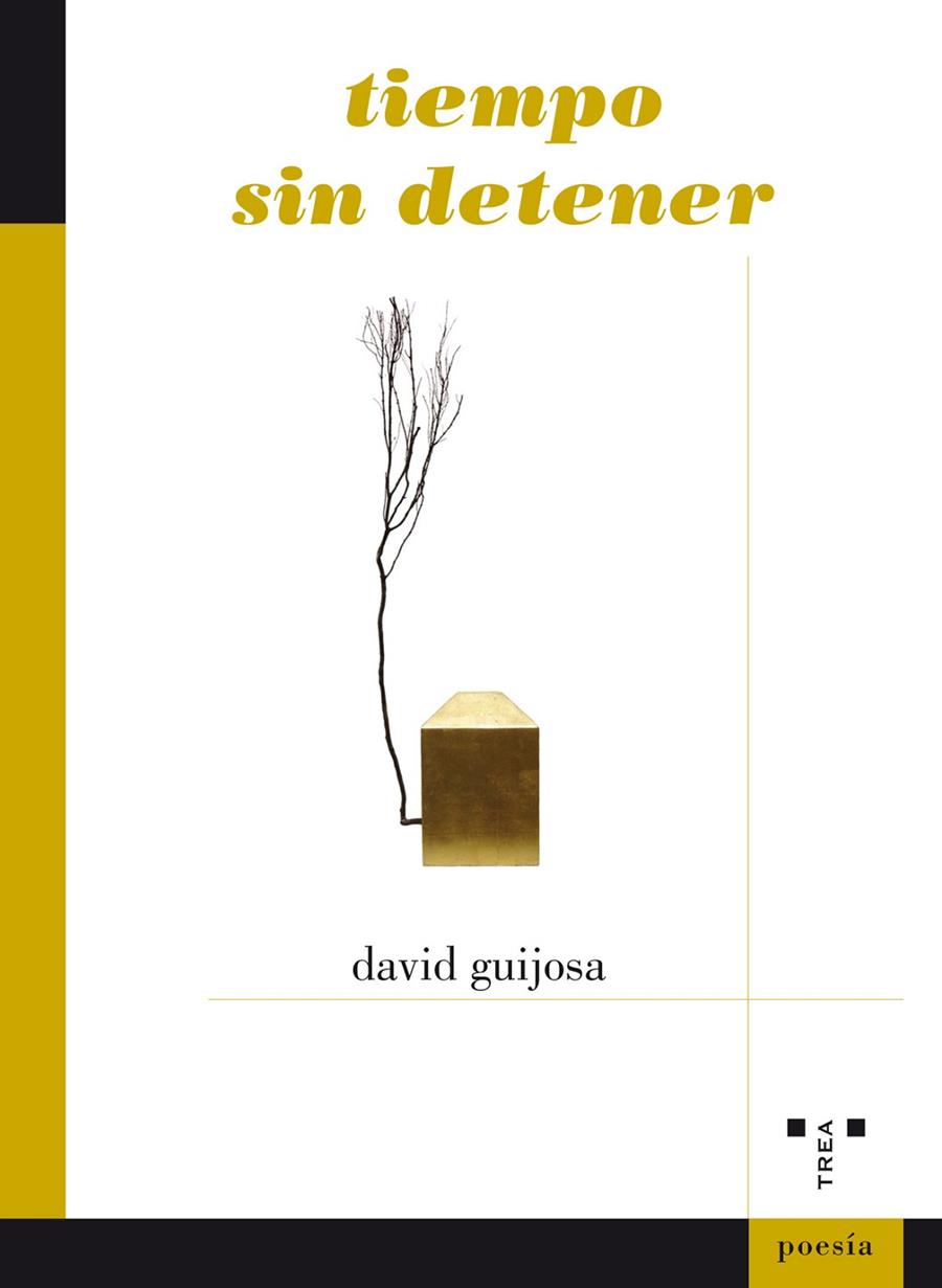 TIEMPO SIN DETENER | 9788417140601 | GUIJOSA AEBERHARD, DAVID