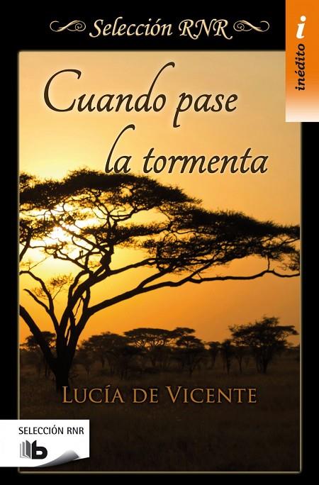 CUANDO PASE LA TORMENTA | 9788490702543 | DE VICENTE, LUCÍA