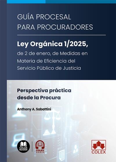 GUIA PROCESAL PARA PROCURADORES. LEY ORGANICA 1/2025, DE 2 DE ENERO, DE MEDIDAS EN MATERIA DE EFICENCIA DEL SERVICIO PÚBLICO DE JUSTICIA | 9791370116774 | SABATTINI, ANTHONY A.