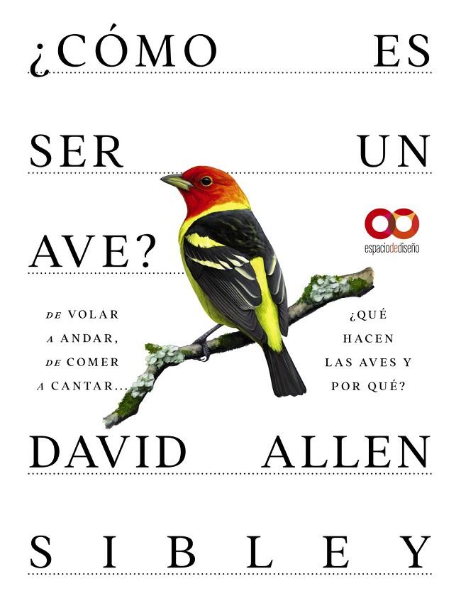 CÓMO ES SER UN AVE? DE VOLAR A ANIDAR, DE COMER A CANTAR... ¿QUÉ HACEN LAS AVES Y POR QUÉ? | 9788441549050 | ALLEN SIBLEY, DAVID