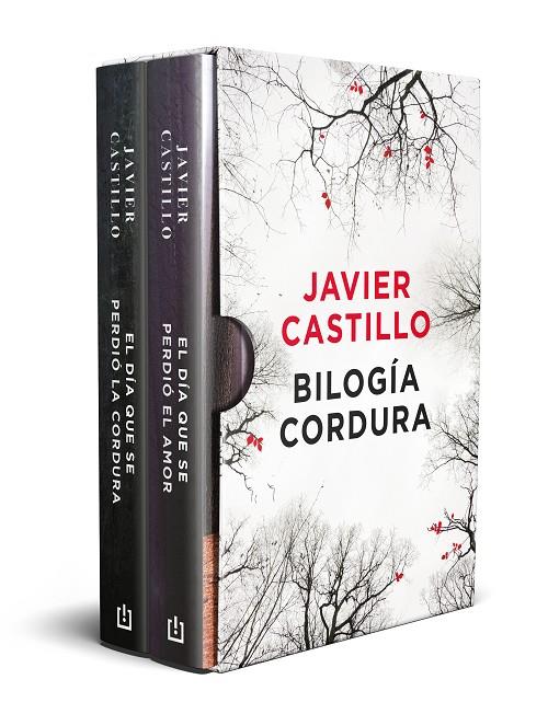 DIA QUE SE PERDIÓ LA CORDURA, EL / EL DIA QUE SE PERDIÓ EL AMOR (ESTUCHE) | 9788466348997 | CASTILLO, JAVIER