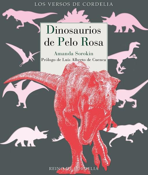 DINOSAURIOS DE PELO ROSA | 9788419124692 | SOROKIN, AMANDA