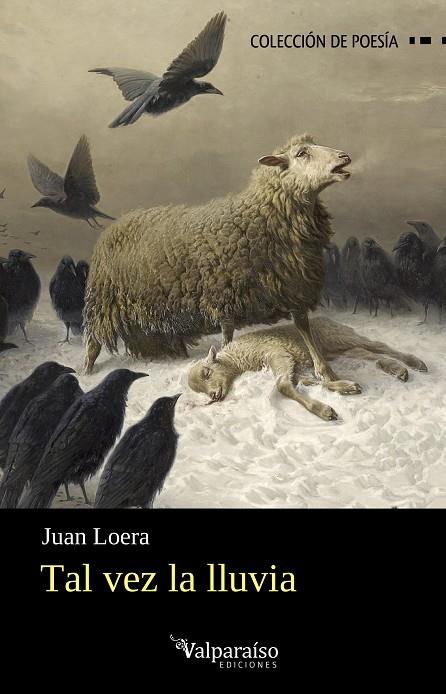TAL VEZ LA LLUVIA | 9791387538569 | LOERA, JUAN
