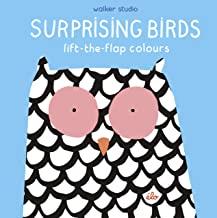 SURPRISING BIRDS. LIFT THE FLAP COLOURS | 9781406379501