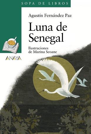 LUNA DE SENEGAL | 9788466784306 | FERNÁNDEZ PAZ, AGUSTÍN / SEOANE, MARINA