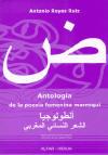 ANTOLOGÍA DE LA POESÍA FEMENINA MARROQUÍ | 9788478982615