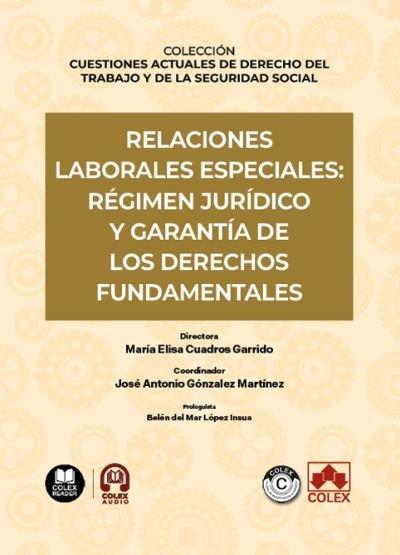 RELACIONES LABORALES ESPECIALES : RÉGIMEN JURÍDICO Y GARANTÍA DE LOS DERECHOS FUNDAMENTALES | 9791370114749 | ÁLVAREZ CUESTA, HENAR