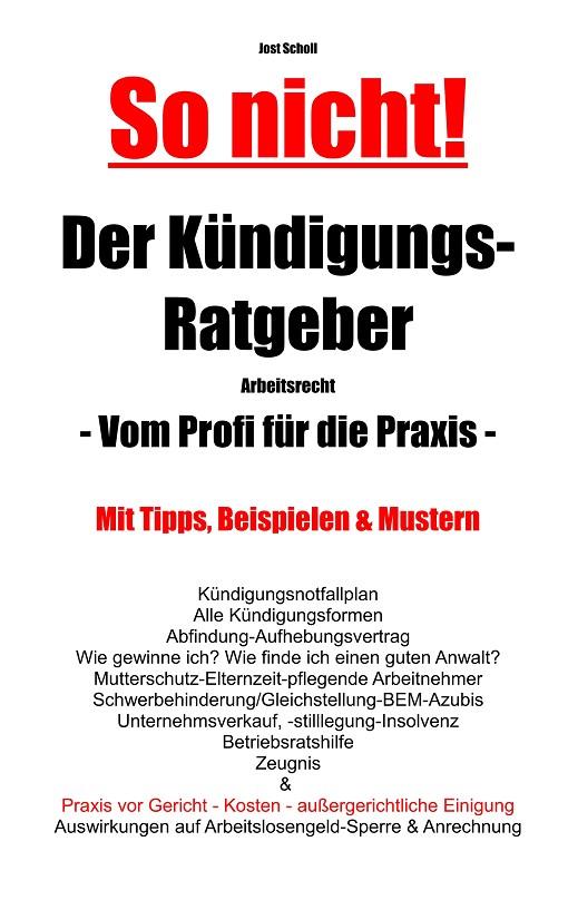 SO NICHT! DER KÜNDIGUNGS-RATGEBER ARBEITSRECHT | 9783750437029 | SCHOLL, JOST