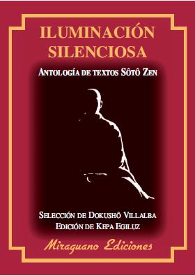 ILUMINACION SILENCIOSA | 9788478133604 | VARIOS AUTORES