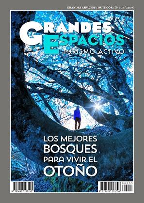 MEJORES BOSQUES PARA VIVIR EL OTOÑO, LOS | 9788498297195 | VARIOS AUTORES