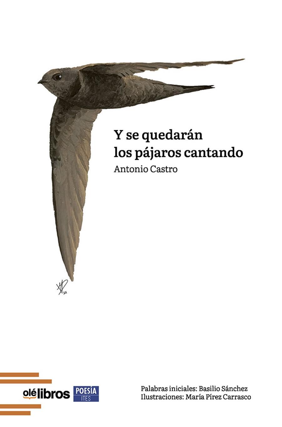 Y SE QUEDARÁN LOS PÁJAROS CANTANDO | 9788410053243 | CASTRO SANCHEZ, ANTONIO