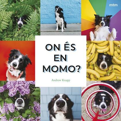 ON ES EN MOMO? | 9788410407893 | KNAPP, ANDREW