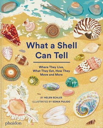 WHAT A SHELL CAN TELL | 9781838664305 | PULIDO, SONIA / SCALES, HELEN