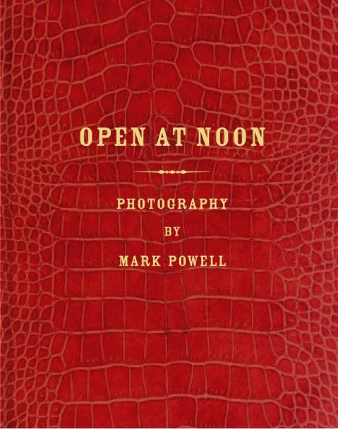 OPEN AT NOON | 9788415118886 | POWELL, MARK