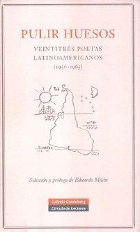 PULIR HUESOS | 9788481097108 | VARIOS AUTORES