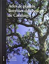 ATLES DE PLANTES LLENYOSES DELS BOSCOS DE CATALUNYA | 9788496553576 | LLORET, FRANCISCO / SOLÉ, ANNA / VAYREDA, JORDI