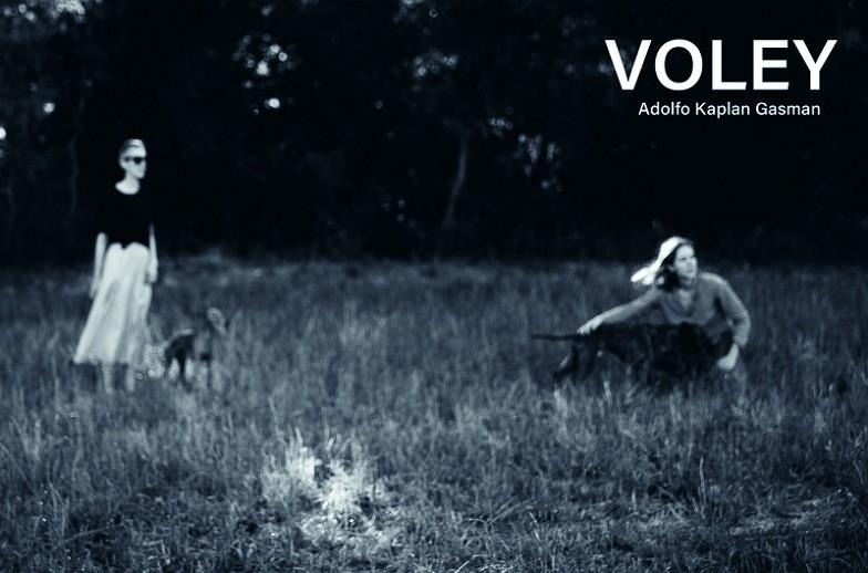 VÓLEY | 9788419539212 | KAPLAN GASMAN, ADOLF