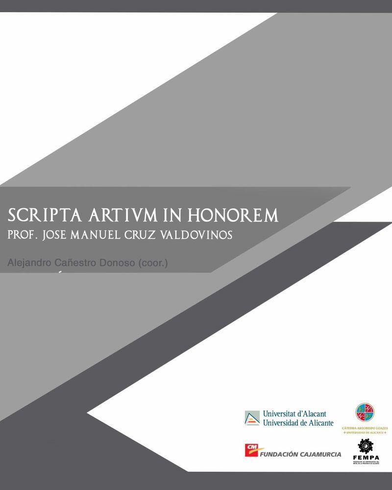 SCRIPTA ARTIVM IN HONOREM PROF. JOSÉ MANUEL CRUZ VALDOVINOS | 9788413020099 | CAÑESTRO DONOSO, ALEJANDRO