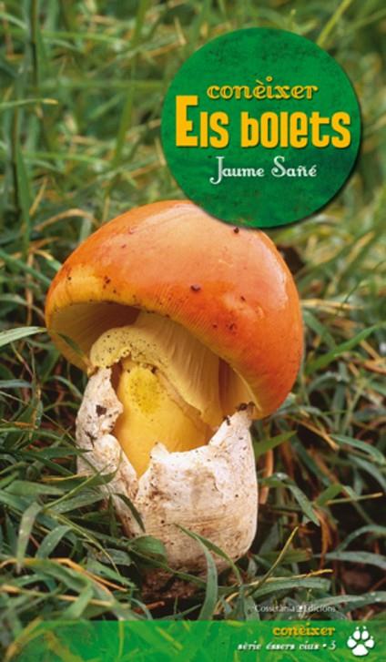 CONÈIXER ELS BOLETS | 9788497919043 | SAÑÉ I PONS, JAUME