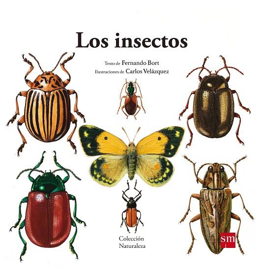 INSECTOS | 9788467577617 | BORT MISOL, FERNANDO