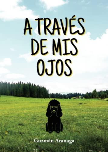 A TRAVÉS DE MIS OJOS | 9788411590778 | ARANAGA, GUZMÁN