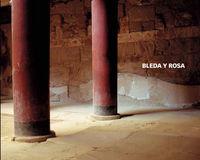 BLEDA Y ROSA CATÁLOGO 2009 | 9788478002849 | BLEDA MEGÍAS, Mª DEL CARMEN / BLEDA ANGULO, JOSE Mª.