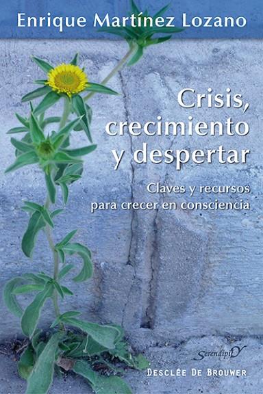 CRISIS CRECIMIENTO Y DESPERTAR | 9788433026323 | MARTINEZ LOZANO, ENRIQUE
