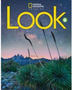LOOK 6 PROFESOR+STB CD+DVD | 9781337915069