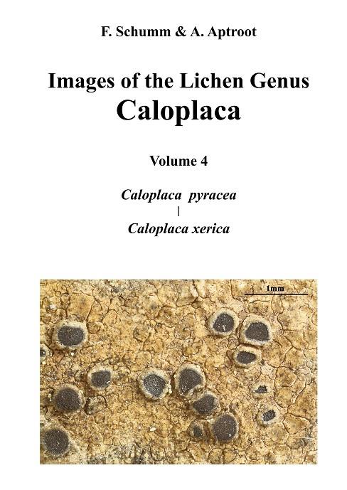 IMAGES OF THE LICHEN GENUS CALOPLACA, VOL4 | 9783749413898 | SCHUMM, FELIX