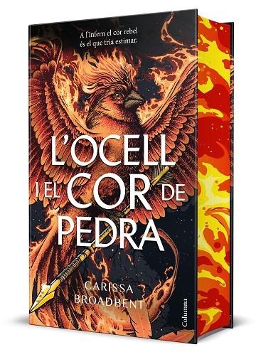 REGNES DE NYAXIA 03. L'OCELL I EL COR DE PEDRA | 9788466434430 | BROADBENT, CARISSA