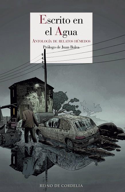 ESCRITO EN EL AGUA | 9788415973485 | VARIOS AUTORES