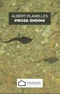 PROSA ENDINS | 9791399194517 | PLANELLES I VELLVÉ, ALBERT