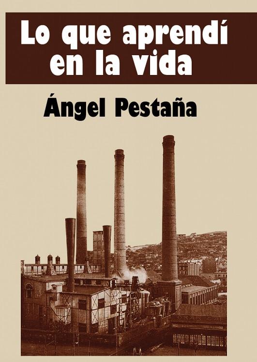 LO QUE APRENDÍ EN LA VIDA | 9788417190323 | PESTAÑA, NUÑEZ, ÁNGEL