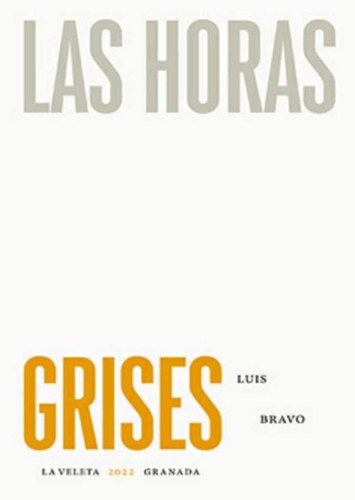 HORAS GRISES, LAS | 9788413693835 | BRAVO, LUIS