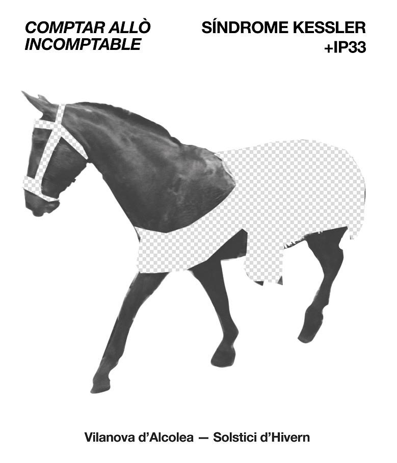 COMPTAR ALLÒ INCOMPTABLE | 9788419647832 | VARIOS AUTORES