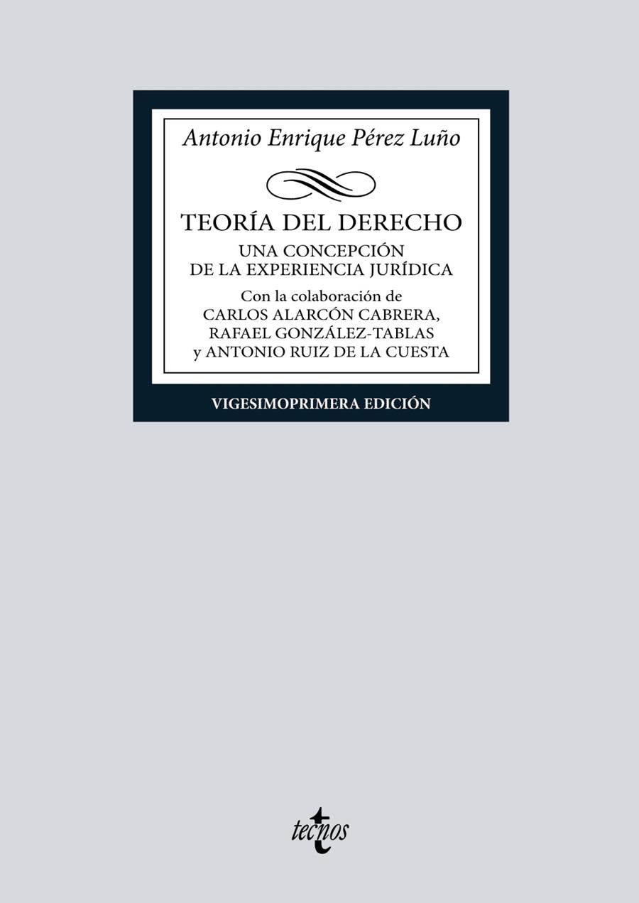 TEORÍA DEL DERECHO | 9788430987825 | PÉREZ LUÑO, ANTONIO ENRIQUE