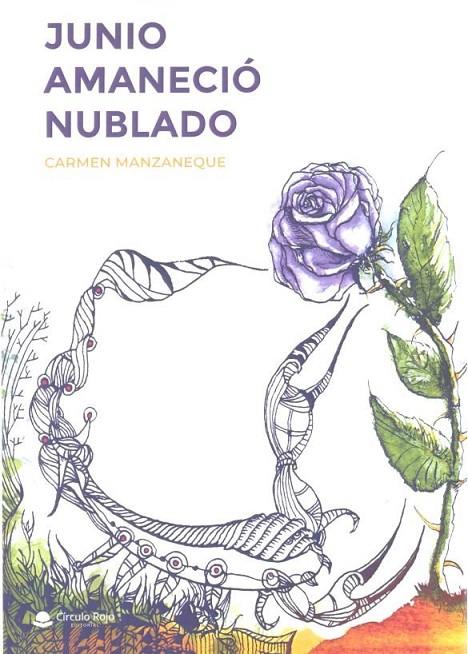 JUNIO AMANECIO NUBLADO | 9788413048635 | MANZANEQUE, CARMEN