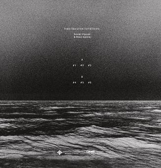 HABITACULOS LUNATICOS (VINILO) | 9788490447420 | PORCEL, ADRIAN / GARCIA, ROSA