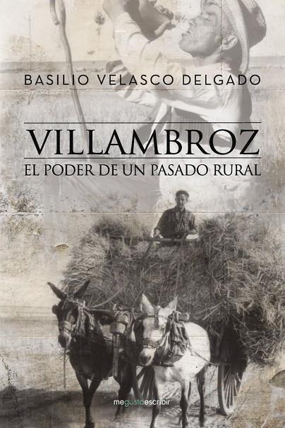 VILLAMBROZ | 9788491127697 | VELASCO DELGADO, BASILIO